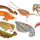 Illustration for article titled Mysterious 500 Million-Year-Old Predators Are the Ancestors of Spiders